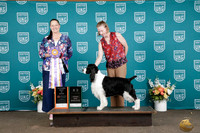 Allison Singer UKC Western Classic 2026