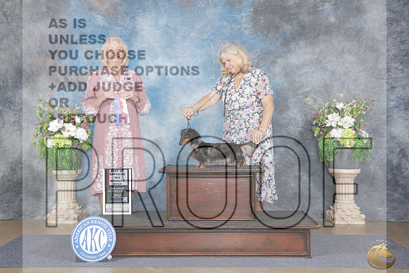 Dachshund Long #8 Fri WB BOS Judge Debra Thornton_WP_4761e_Little Rock 2026