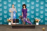 erin tinsley UKC Western Classic 2026