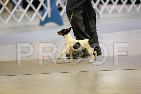 _JJ_8632-AmarilloSept2014-HR3