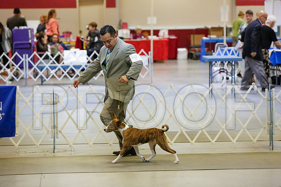 _JJ_3488-AmarilloSept2014-HR3