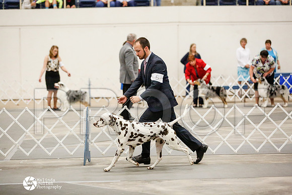 _RH_4259-AblnMay2014-web