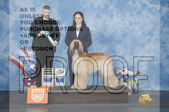Afghan Hound #255 Sat BOW NCH Judge Pamela Perdue-_P2_1752e_UDOG Longview Aug 2026 HR3