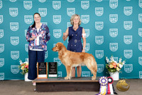 Gwen Black UKC Western Classic 2026