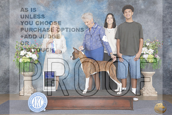 Boxer #8 Sat WB BOW Judge Victoria Seiler Cushman_WP_4205e_Little Rock 2026