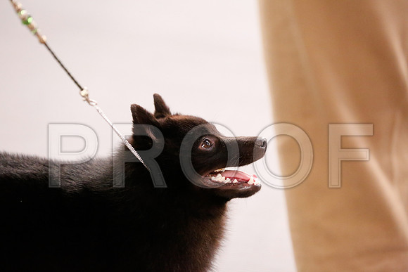 _RH_6146-CarlrolltonSept2014-HR3