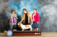 Basset Hound #10 Fri BOSWB Judge Donelle Richards