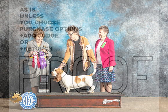 Basset Hound #10 Fri BOSWB Judge Donelle Richards_MJ_4356_FWKC2023_HR3
