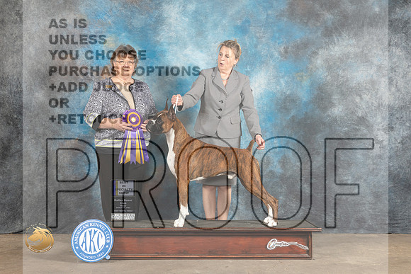 Boxer #17 Fri BISS Judge Pat Mullen_MJ_4030_FWKC2023_HR3