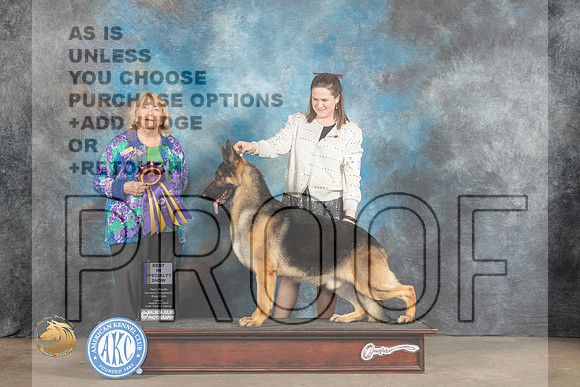 German Shepherd Dog #15 Fri BISS Judge Dr Carol Moser_MJ_4640_FWKC2023_HR3