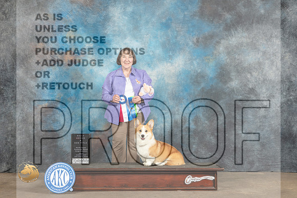 Pembroke Welsh Corgi #87 Fri RNNT_MJ_4626_FWKC2023_HR3