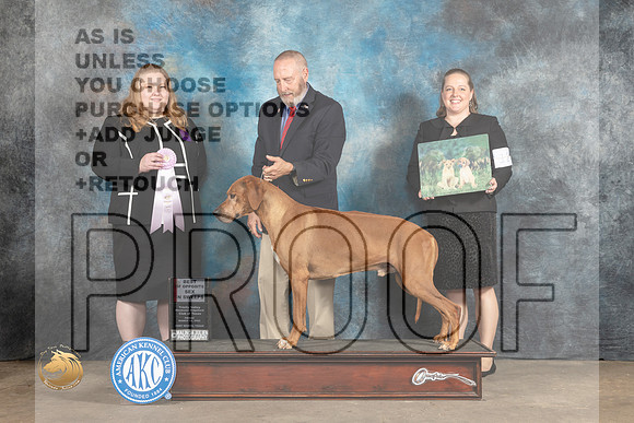 Rhodesian Ridgeback #59 Fri BOSV Judge Angie Hartley_MJ_4125_FWKC2023_HR3