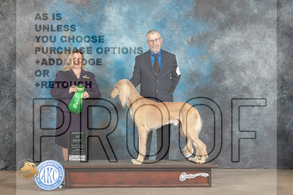 Saluki #17 Fri2 AOM Judge Marla Capozzi_MJ_4309_FWKC2023_HR3