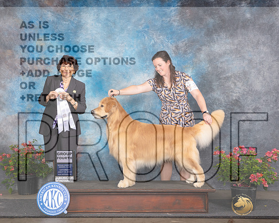 Golden Retriever #35 Sat G4 Judge Wendy G Willhauck_JP_5245e_San Antonio_2024-HR3