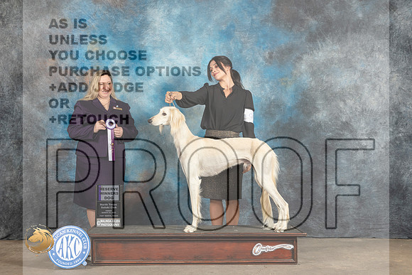 Saluki #9 Fri2 RWD Judge Marla Capozzi_MJ_4297_FWKC2023_HR3
