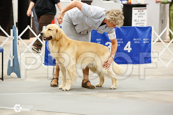_JN_1245-AblnMay2014-web