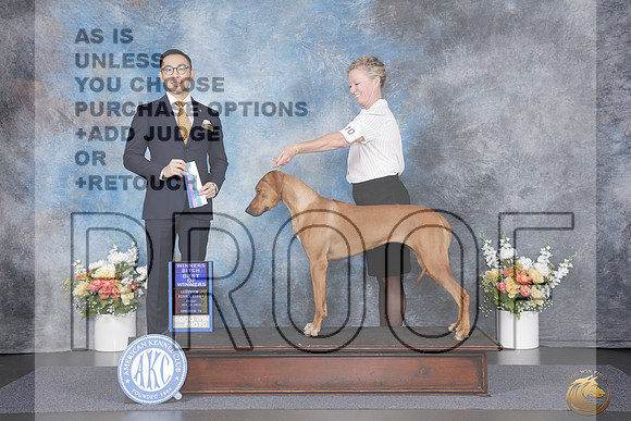 Rhodeian Ridgeback #10 Fri WD BOW Judge Zhida Duan_WP_1944e_Longview 2026