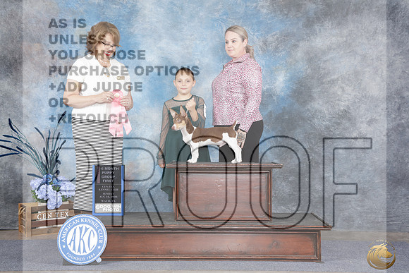 Teddy Roosevelt Terrier #11 Sun BPup G1 Judge Stephanie Kaul_WP_6603e_San Antoniol 2026