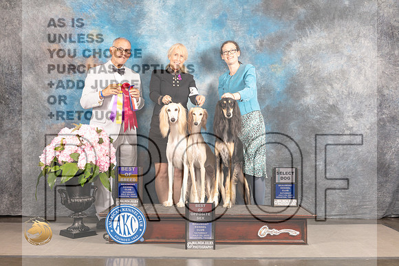 Saluki #9 #14 #15 Sat BOBBOSSD Judge Luis Sosa_MJ_7250_Houston_2022_HR3
