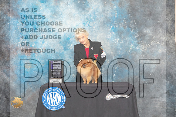Pomeranian #43 Sat WB Judge Carol Prykosz_MJ_0113_HstnTOY_2022_HR3
