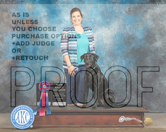 Labrador Retrievers Cathy-_MJ_4119eFWKC2023-HR3