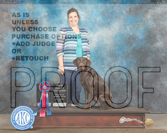 Labrador Retrievers Cathy-_MJ_4114eFWKC2023-HR3