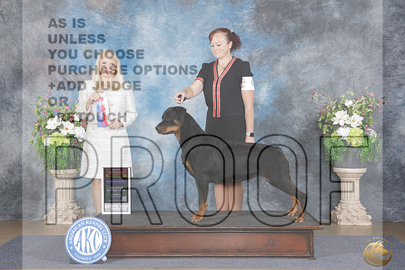 Rottweiler #6 Sat WB BOS NCH Judge Victoria Seiler Cushman_WP_4195e_Little Rock 2026