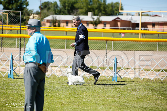 _JN_6920-AlamogordoOct2014-HR3