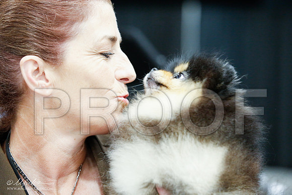 _JJ_0052-MdlndSept2015-HR3