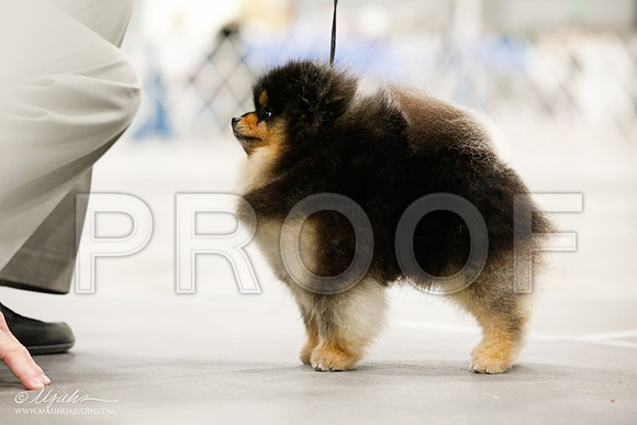 _JJ_0897-MdlndSept2015-HR3