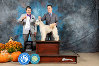 Pumi #32 Sun G4 Judge Lloyd Graser
