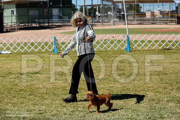 _JJ_0625-AlamogordoOct2014-HR3