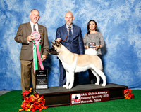 #34 Mon BOB Sweeps Chiara Ronchini & Richard Hellman Judge Rodney Merry