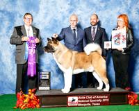 #61 Mon WD Judge Robert Eisele