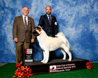 #62 ??  Mon 2nd 9-12 Judge Rodney Merry