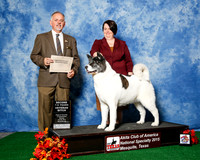 #84 Mon 2nd 7-9 Vet Judge Rodney Merry