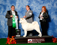 #90 Mon Best Vet Judge Robert Eisele