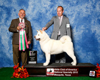 #90 Mon Best Vet Judge Rodney Merry