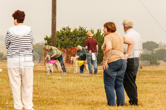 _MJ_3668-AfgBeltonOct2014-HR3