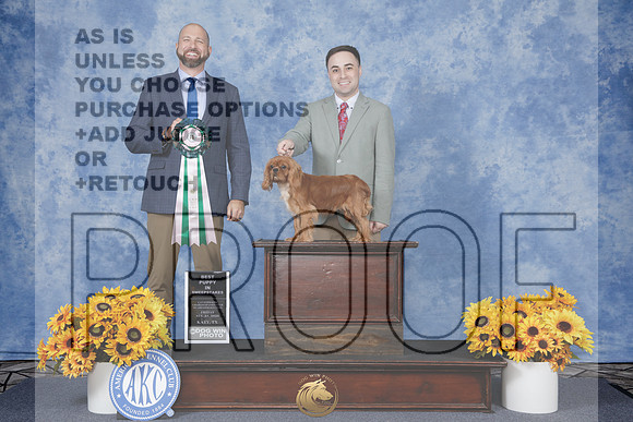 CKCS #17 Fri BPISweeps Judge Ben Williams R_WP_7678e_Houston Tou Show 2026