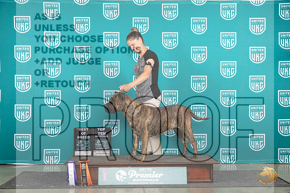Presa Canario #542 Thur T10BOB FriBOB__JP_1628_Premier_2024_HR3