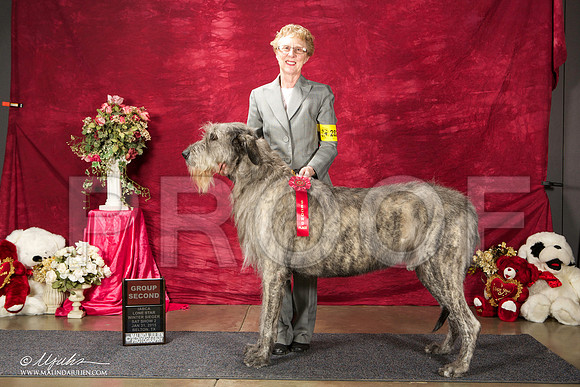 _ST_2582-BeltonJan2015IABCA-HR3