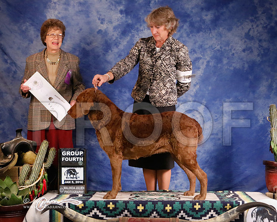 ches-5477-GRJan14-HR