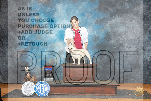 French Bulldog #6 Sun BOWBOS Judge Tim Robbins__JP_8471_MARSHALL_2024_HR3