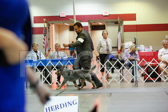 _JN_4733-AmarilloSept2014-HR3