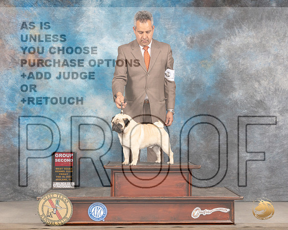 Pug #17 Fri G2 Judge Donnelle RichardsMMJ_3574_Mdlnd2022_HR3