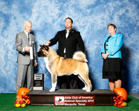 #45 Tues 4th Open Dog Judge Joseph Gregory