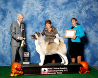 #88 Tues Best Vet Judge Joseph Gregory
