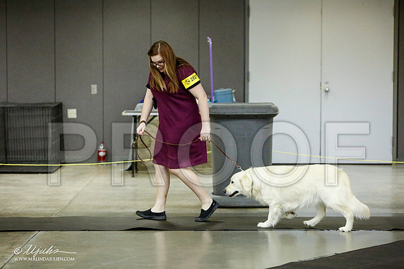 _RH_1020-BeltonJan2015IABCA-HR3