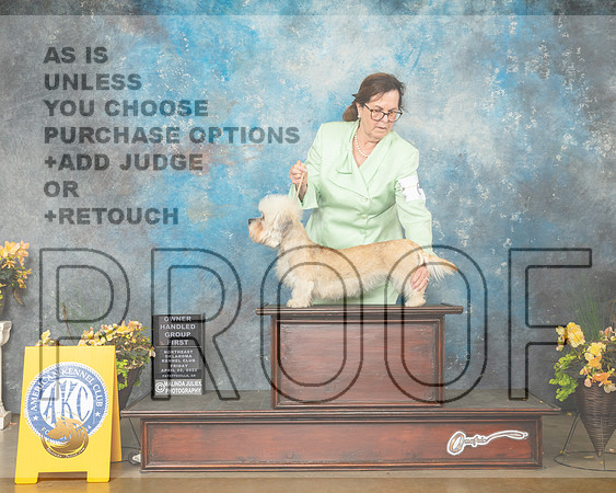 Dandie Dinmont Terrier #6 Fri OHG1 Judge Carol Jean Nelson-MMJ_9850-NWARK2022-HR3